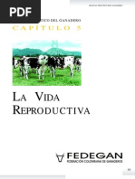 La Vida Reproductiva de La Vaca