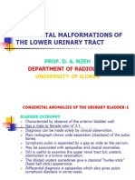 Congenital Malformations of The Lower Urinary Tract (Without Images-2) - Mar 2012