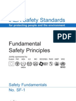 Fundamental Safety Principles