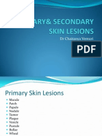 Primary Secondary Skin Lesions 2003