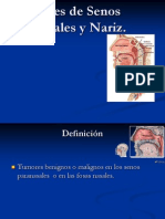 5.6 Tumores de Los SPN y Nariz.