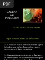 Cadena de Infeccion