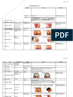 Lista-2 Pares Biomagneticos