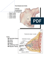 Assessment of The Breast and Axilla