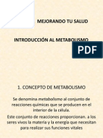 Introducción Metabolismo