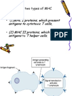 MHC I Proteins, Which Present Antigens To Cytotoxic T Cells, (2) MHC II Proteins, Which Present Antigens T Helper Cells