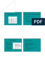 Microsoft Powerpoint - Aula 2009 - Figura Complexa de Rey