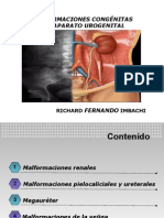 Malformaciones Congénitas Del Aparato Urogenital