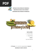 Monografia El Platano