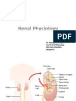 Renal Physiology