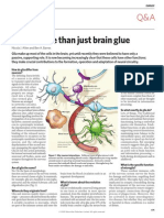 Seminar 4 Glia Nature Feb09