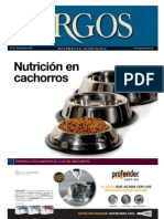 Nutrición en Cachorros: Informativo Veterinario