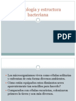 3 Morfología y Estructura Bacteriana