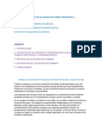 Ventajas y Desventajas de Los Equipos de Trabajo Individuales y Organizacionales