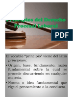 Principios Procesales Laborales