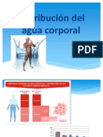 Distribucion de Agua Corporal