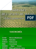 Fisiologia de La Palma