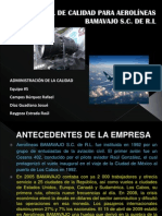 Manual de Calidad para Aerolíneas BAMAVAJO S