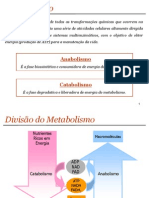 Bioquimica Metabolismo Carboidratos