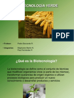 Bioetica Verde