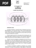 Guia de Campo Magnetico