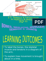 2.1 (B) - Role of Muscles, Ligaments & Tendons in