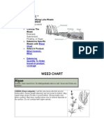 Weed Chart Algae: Weed Control - Identifying Lake Weeds Quick Reference