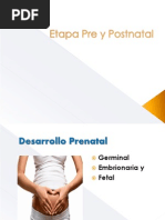 1) Etapa Prenatal (Desarrollo Físico) y Desarrollo Cognitivo