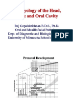 Embryology of The Head, Face and Oral Cavity