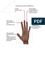 MUDRAS Energia en Las Manos PDF