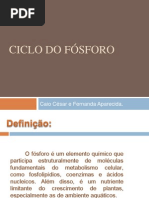 Ciclo Do Fósforo - Slide Biologia2