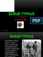 Scrub Typhus.