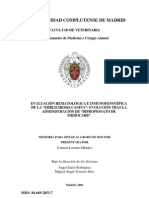 Evaluación Hematológica e Inmunofenotípica de La Erlichiosis Canina