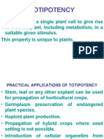 To Ti Potency & Plasticity