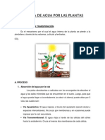 Informe Perdida de Agua Por Las Plantas