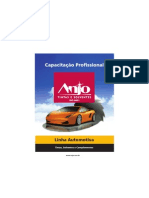 Curso - Automotivo ANJO PINTURA