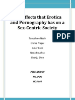 Erotica & Porn Essay