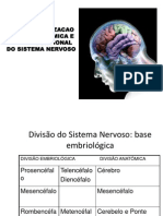 Aula Revisão Neuroanatomia