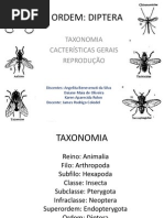 Diptera Pronto