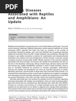 Zoonosis Reptiles