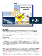 Nevado Del Ruiz Case Study