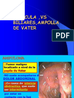 Vesicula Vias Biliares Ampolla de Vater