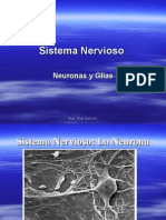 Sistema Nervioso Neurona y Glias 9