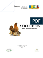 Apostila Avicultura de Corte