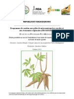 ÉTUDE DE CAS PROGRAMME PAYS MADAGASCAR Étude Préalable en Vue de L'installation D'une Unité de Transformation Du Manioc en Farine de Haute Qualite (Source: CAPFIDA - Octobre 2012)