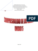 Compresibilidad de Los Suelos