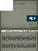 Estrus Synchronization in Cattle/ppt - File