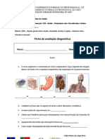 Avaliação Diagnóstica