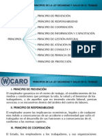 Principios de La Seguridad y Salud en El Trabajo. Ley #29783