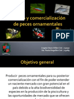 Cultivo y Comercialización de Peces Ornamentales